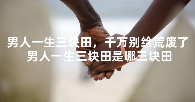 男人一生三块田，千万别给荒废了 男人一生三块田是